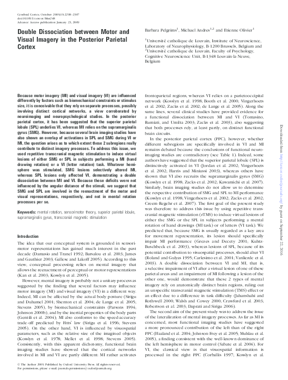 (PDF) Double dissociation between motor and visual imagery in the ...