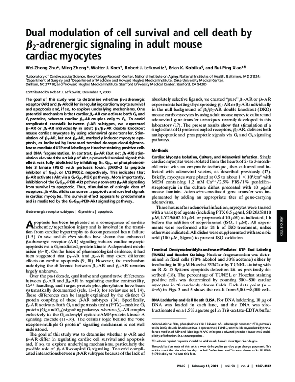 (PDF) Dual modulation of cell survival and cell death by 2-adrenergic ...