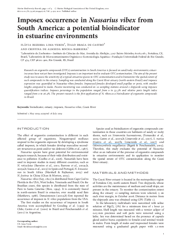 Nassarius vibex essay 08 picture