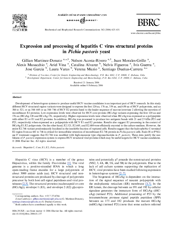 Hep 3000 essay 03 image