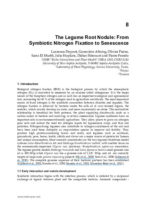 (PDF) The Legume Root Nodule: From Symbiotic Nitrogen Fixation to ...