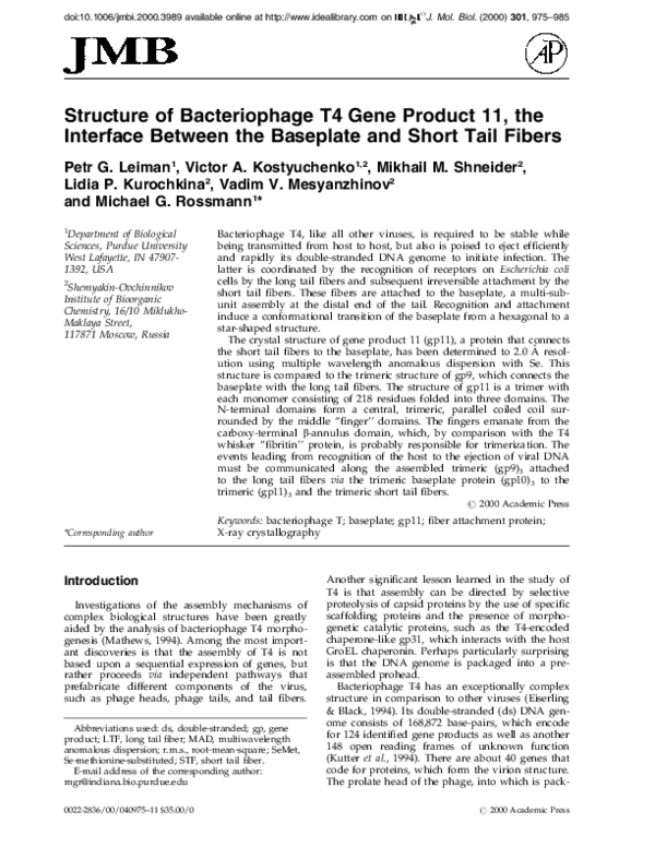 (PDF) Structure of bacteriophage T4 gene product 11, the interface ...
