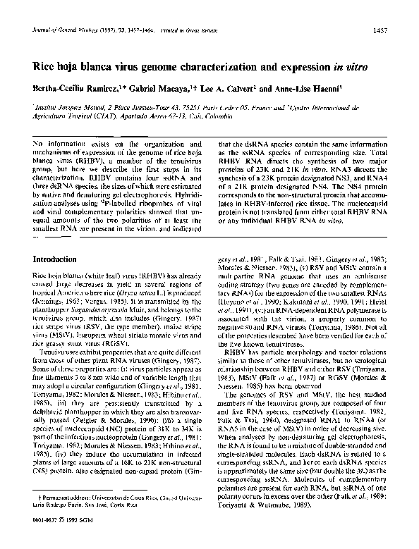 (PDF) Rice hoja blanca virus genome characterization and expression in
