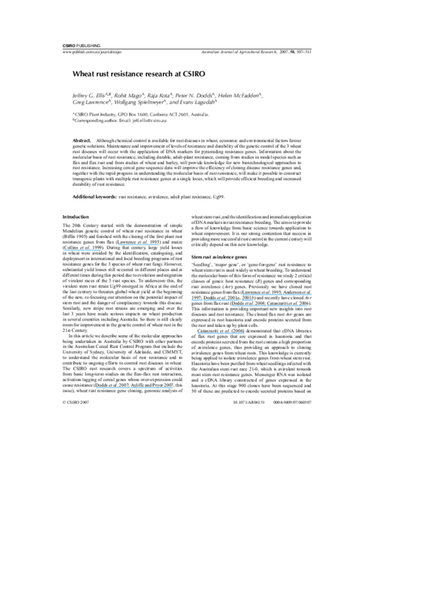 Research topics on wheat image