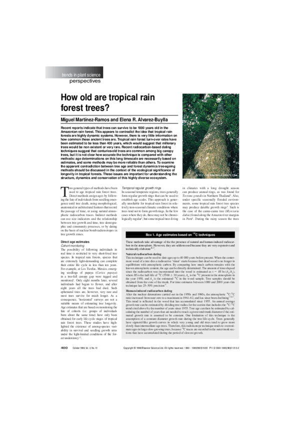 (PDF) How old are tropical rain forest trees
