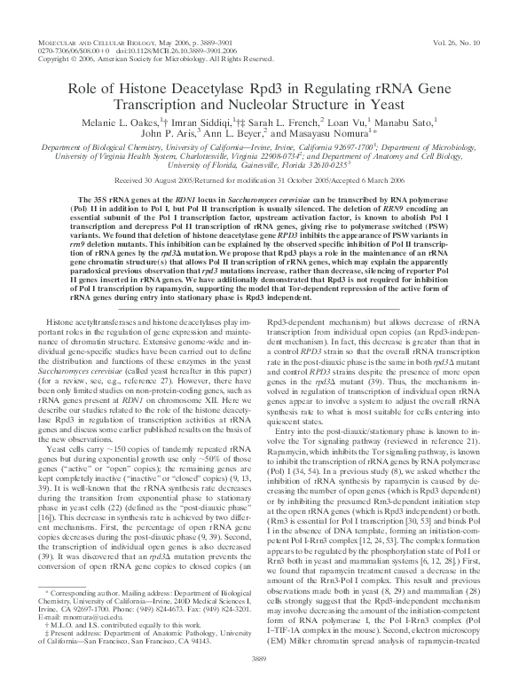 (PDF) Role of Histone Deacetylase Rpd3 in Regulating rRNA Gene ...
