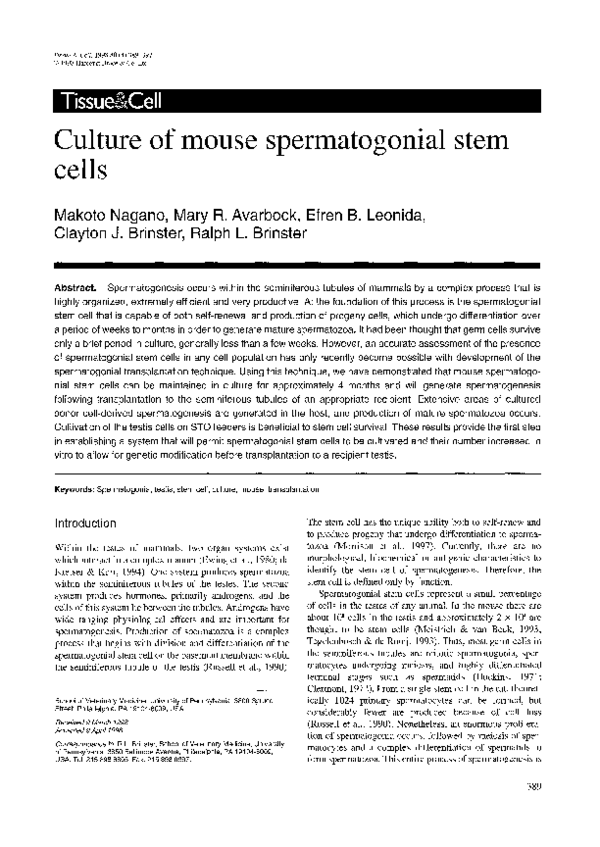 (PDF) Culture of mouse spermatogonial stem cells