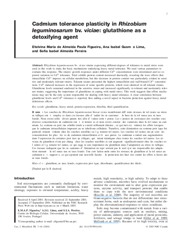 Thesis on rhizobium 02 image