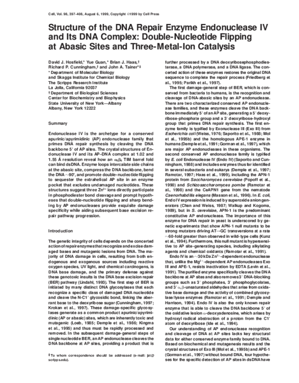 (PDF) Structure of the DNA Repair Enzyme Endonuclease IV and Its DNA ...