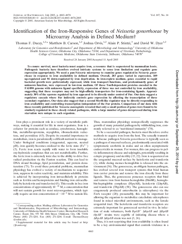 Virulence factors of gonorrhea picture