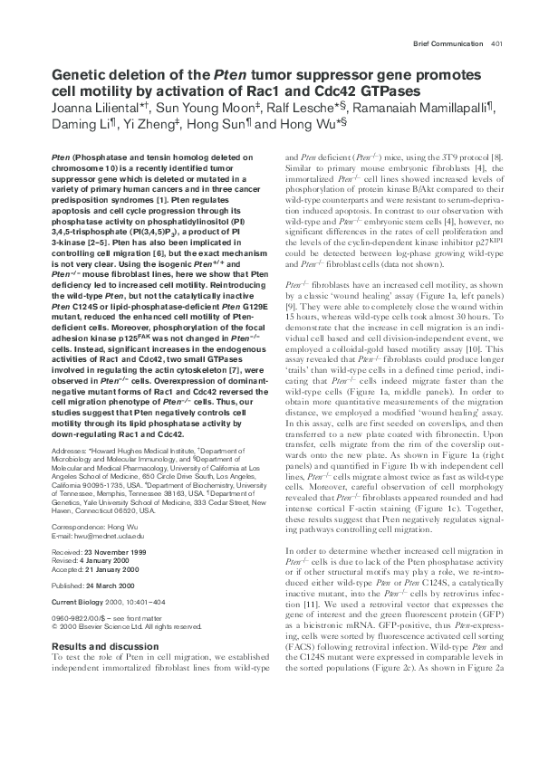 (PDF) Genetic deletion of the Pten tumor suppressor gene promotes cell ...