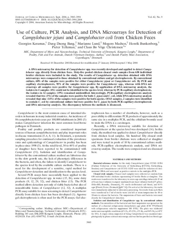 (PDF) Use of Culture, PCR Analysis, and DNA Microarrays for Detection ...