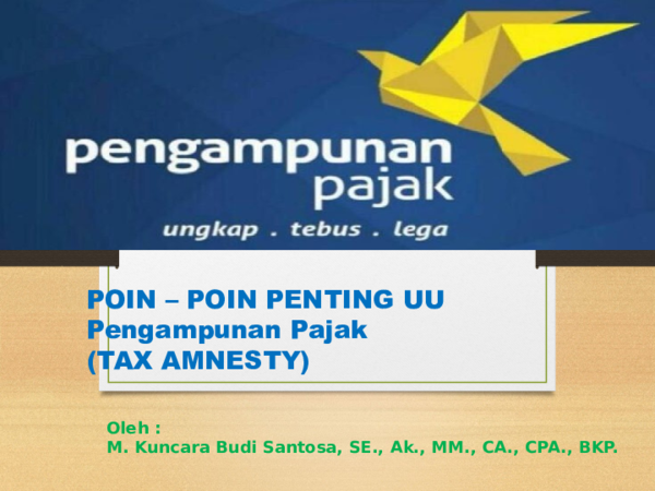 Tax amnesty definition picture