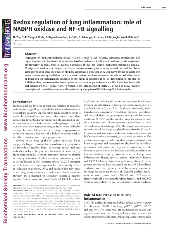 (PDF) Redox regulation of lung inflammation: role of NADPH oxidase and ...