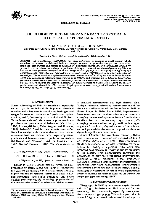 (PDF) The fluidized bed membrane reactor system: a pilot scale ...