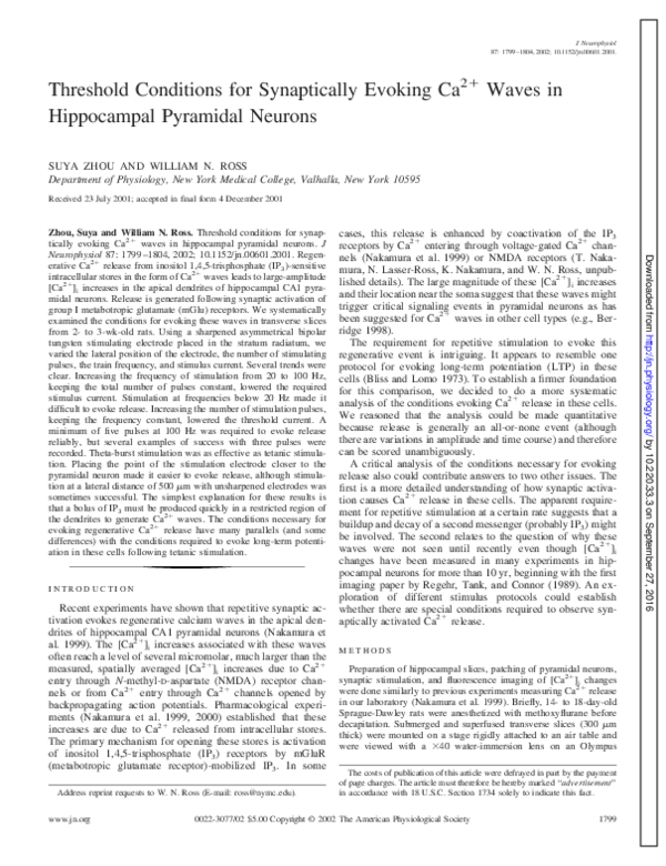 (PDF) Physiology and Pathophysiology of the Calcium Store in the ...