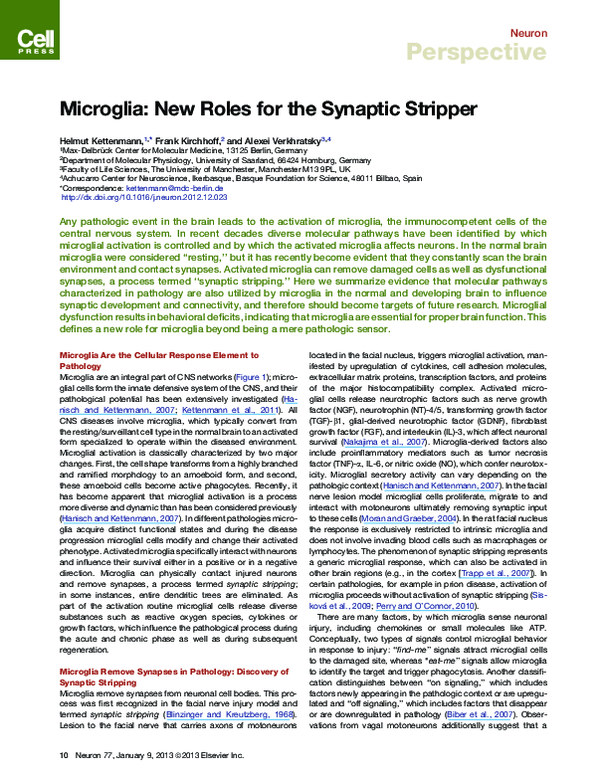 (PDF) Microglia: new roles for the synaptic stripper