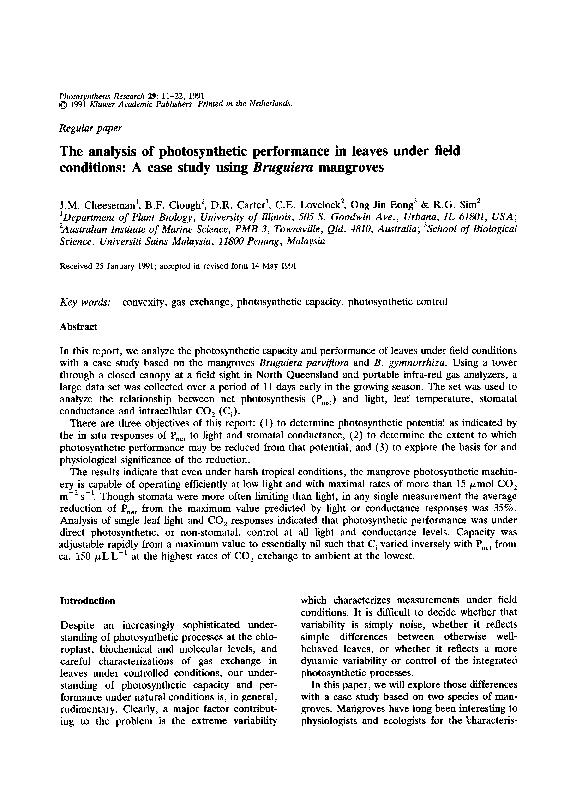 Essay on photosynthesis 100 words picture