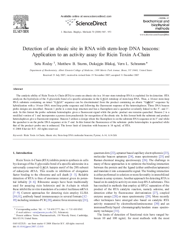 (PDF) Detection of an abasic site in RNA with stem-loop DNA beacons ...