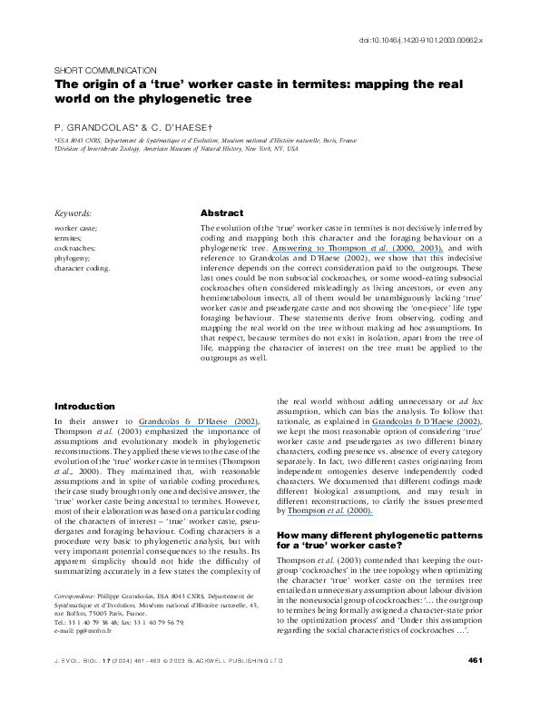 (PDF) The origin of a true worker caste in termites: mapping the real ...