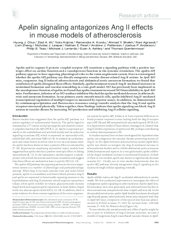 (PDF) Apelin signaling antagonizes Ang II effects in mouse models of ...