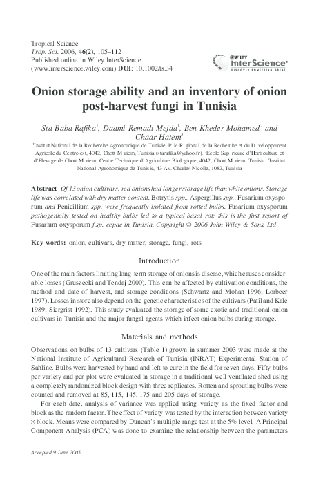 Onion research paper picture