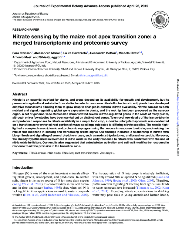 (PDF) Nitrate sensing by the maize root apex transition zone: a merged ...