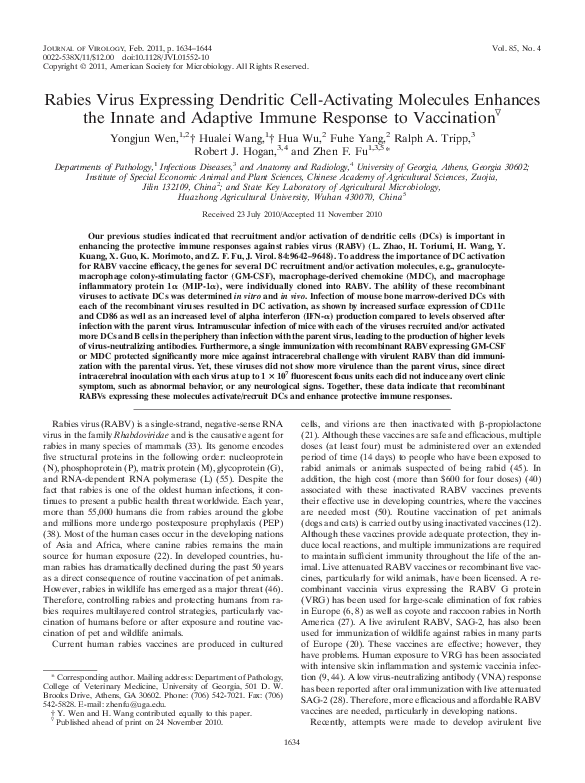 Anti rabies home remedy image