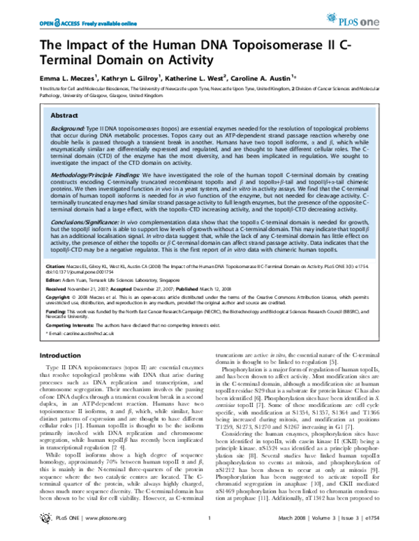 (PDF) The Impact of the Human DNA Topoisomerase II C-Terminal Domain on ...