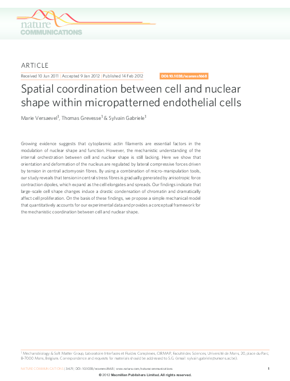 (PDF) Spatial coordination between cell and nuclear shape within ...