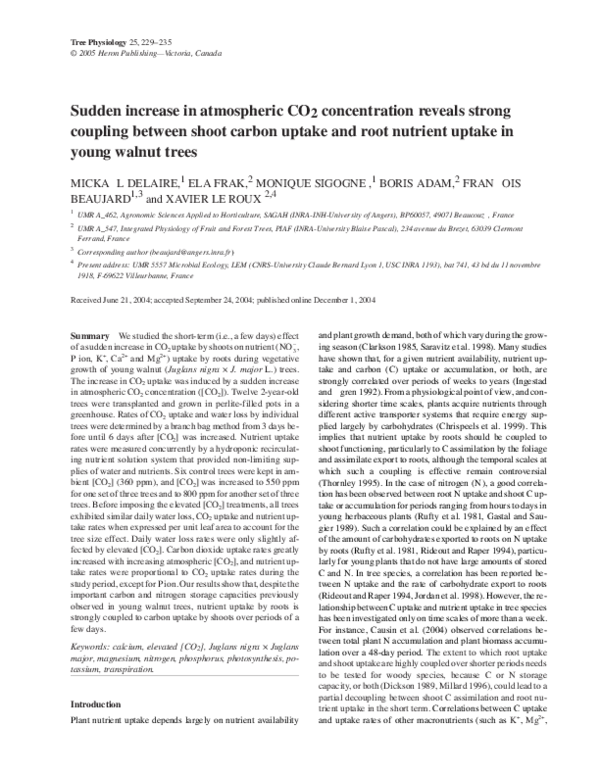 (PDF) Sudden increase in atmospheric CO2 concentration reveals strong coupling between shoot