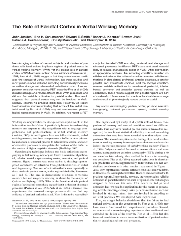 (PDF) The Role of Parietal Cortex in Verbal Working Memory
