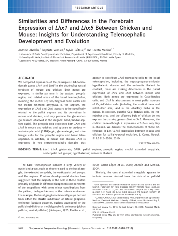 (PDF) Similarities and differences in the forebrain expression of Lhx1 ...
