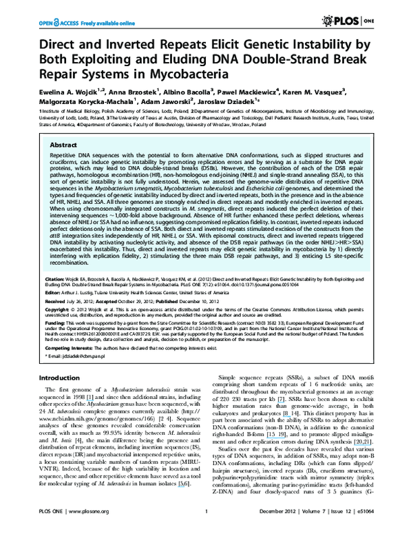 (PDF) Direct and Inverted Repeats Elicit Genetic Instability by Both ...
