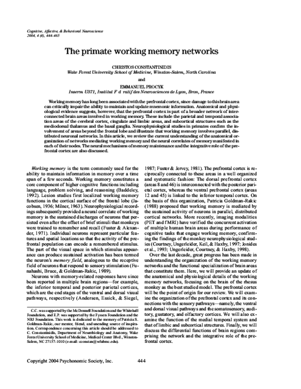 (PDF) The primate working memory networks