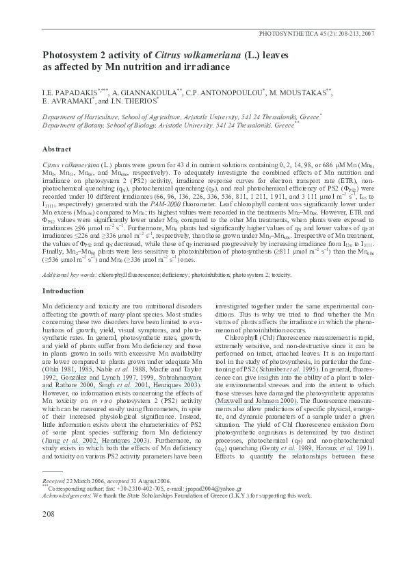 Photosynthesis picture