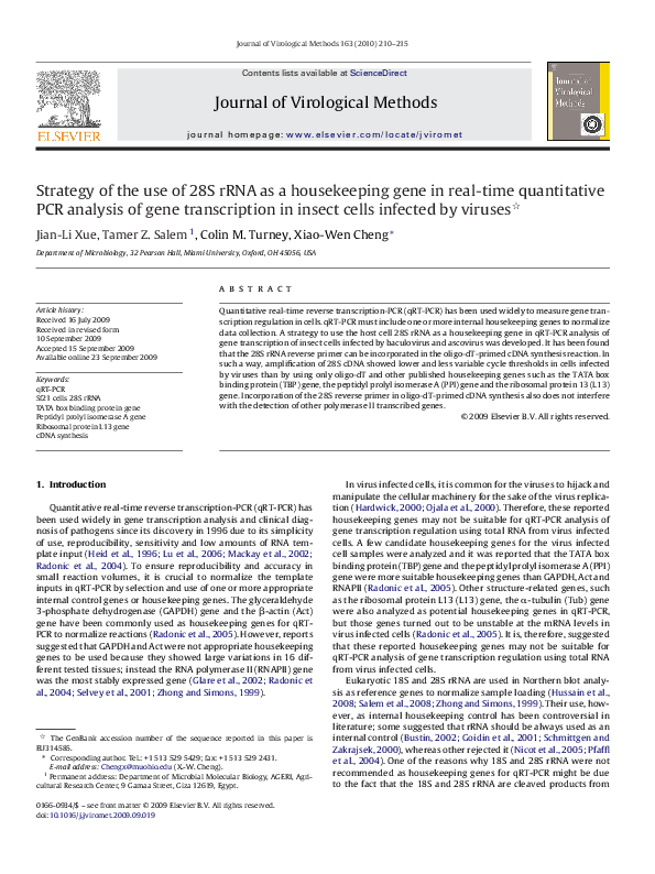 (PDF) Strategy of the use of 28S rRNA as a housekeeping gene in real ...