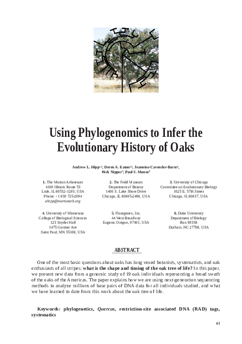 (PDF) Using phylogenomics to infer the evolutionary history of oaks