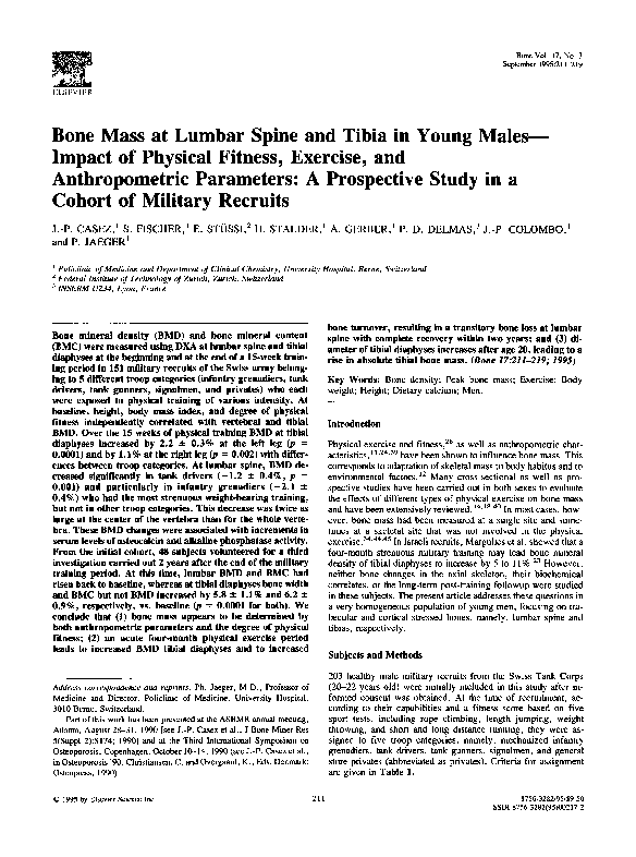 (PDF) Bone mass at lumbar spine and tibia in young males—impact of ...