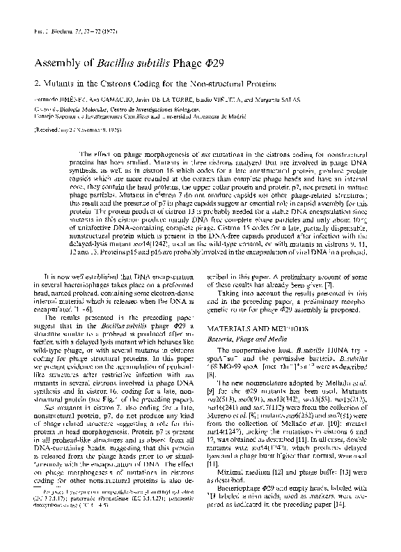 Bacillus subtilis background information picture