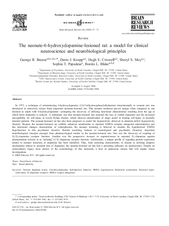 (PDF) The neonate-6-hydroxydopamine-lesioned rat: a model for clinical ...