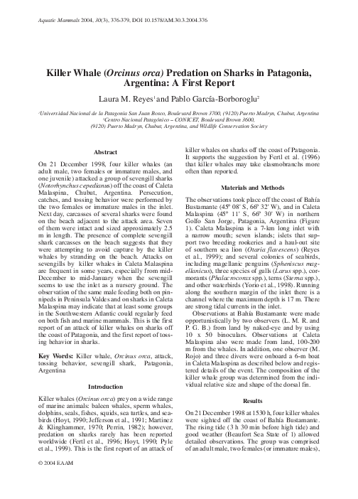 (PDF) First record of orca predation on franciscana dolphins ...