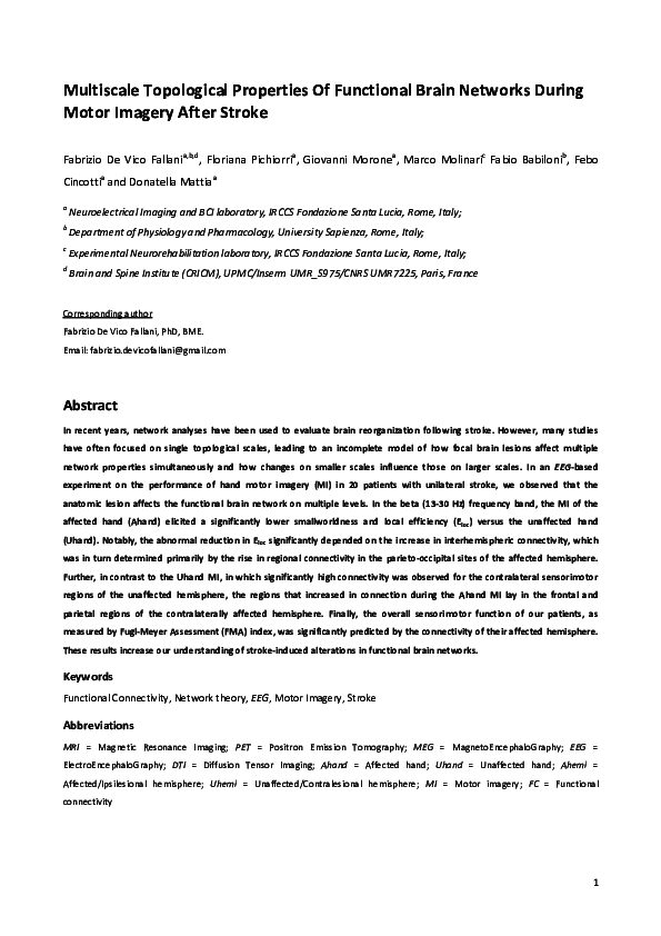 (PDF) Multiscale topological properties of functional brain networks ...