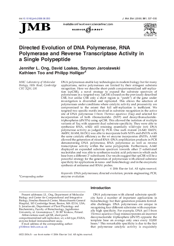 (PDF) Directed evolution of DNA polymerase, RNA polymerase and reverse ...
