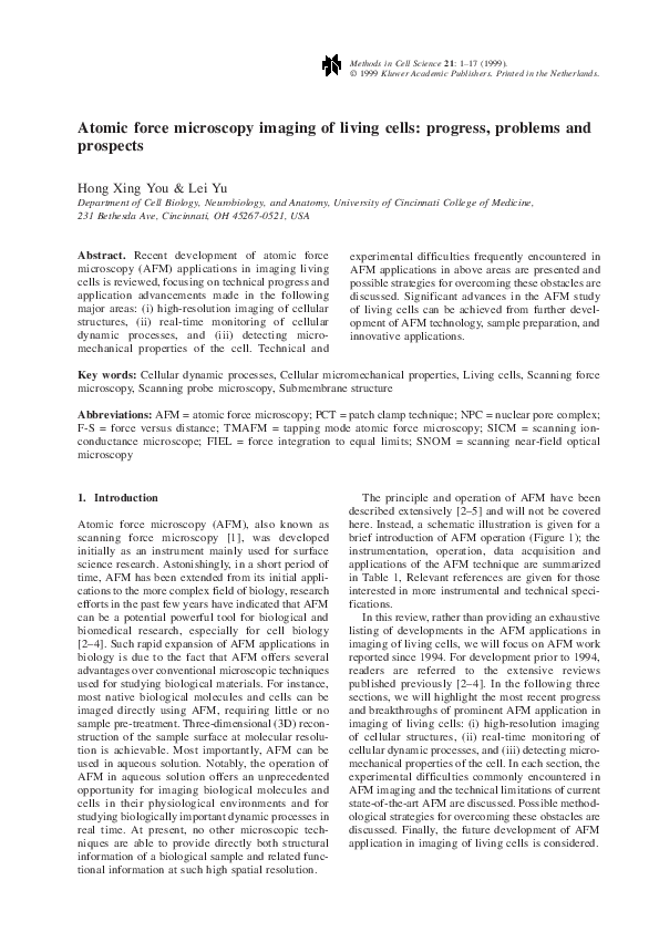 (PDF) Atomic force microscopy imaging of living cells: a preliminary ...
