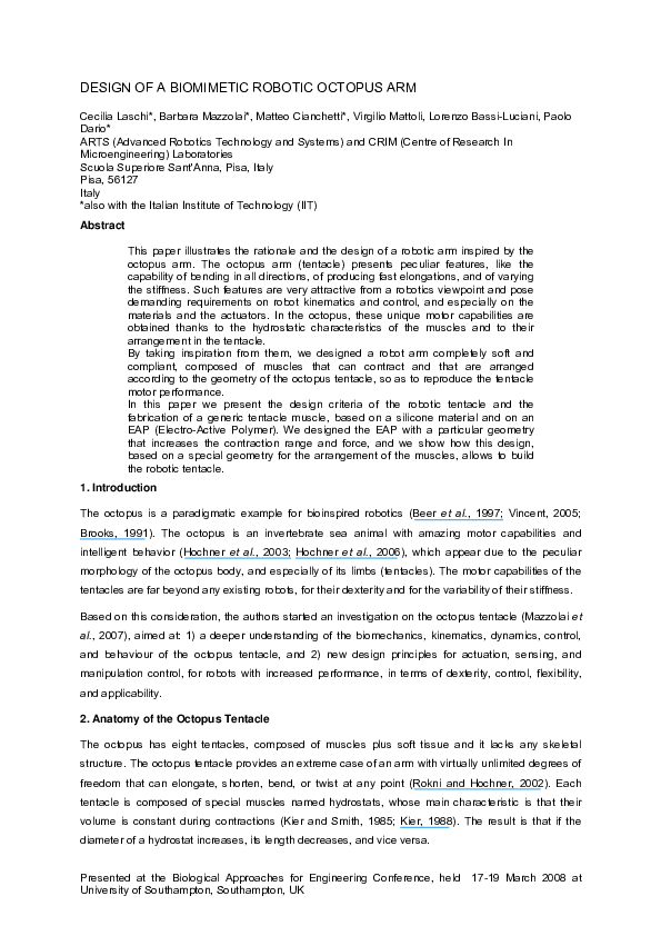 Octopus template for kids picture