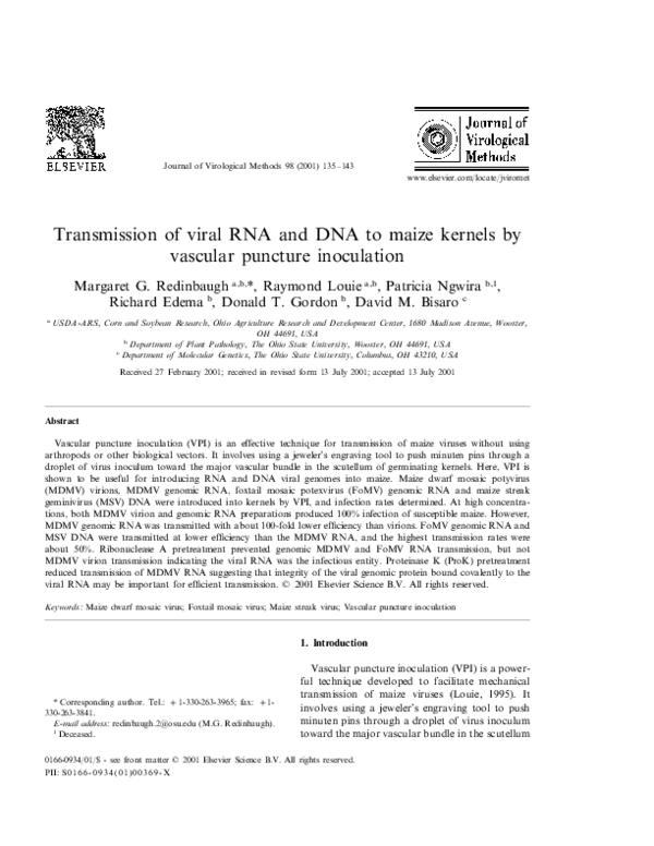 (PDF) Transmission of viral RNA and DNA to maize kernels by vascular ...