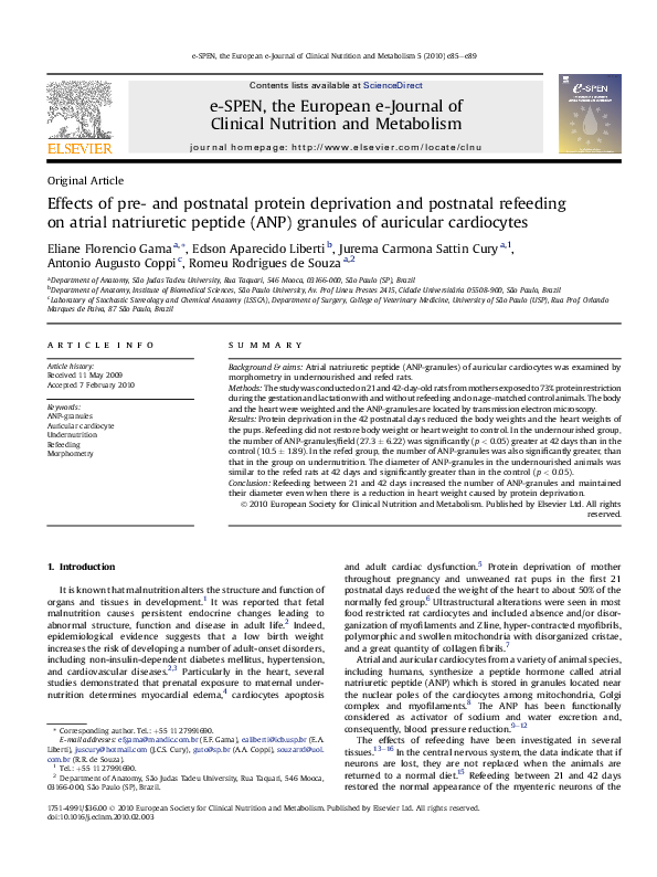 (PDF) Effects of pre- and postnatal protein deprivation and postnatal ...