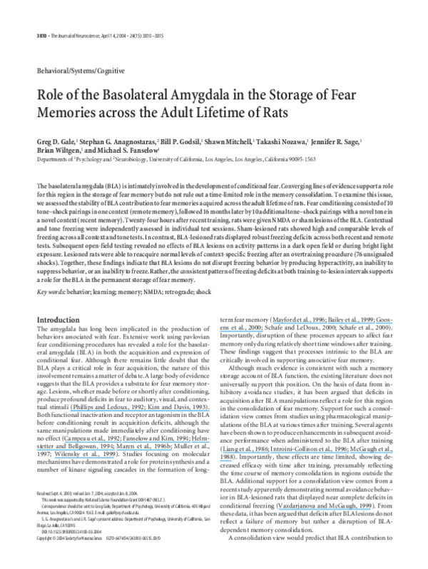 (PDF) Role of the Basolateral Amygdala in the Storage of Fear Memories ...