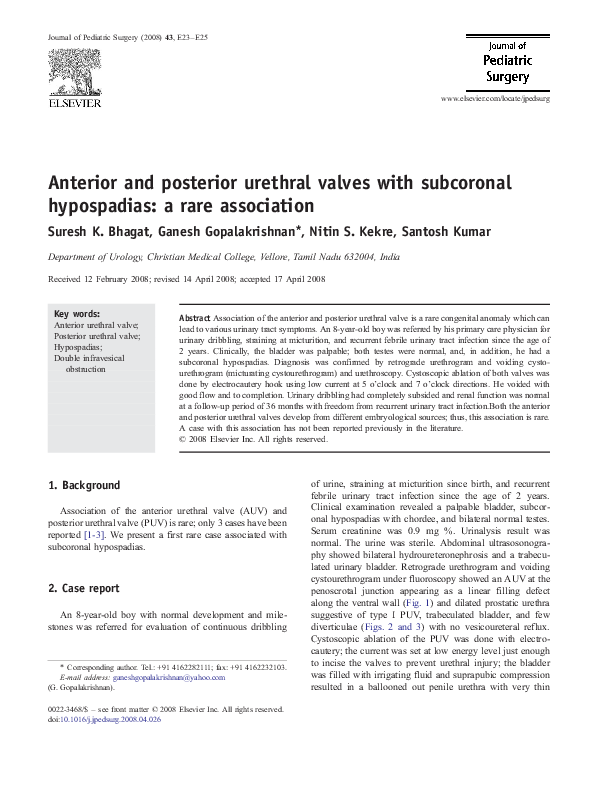 (PDF) Anterior and posterior urethral valves with subcoronal ...
